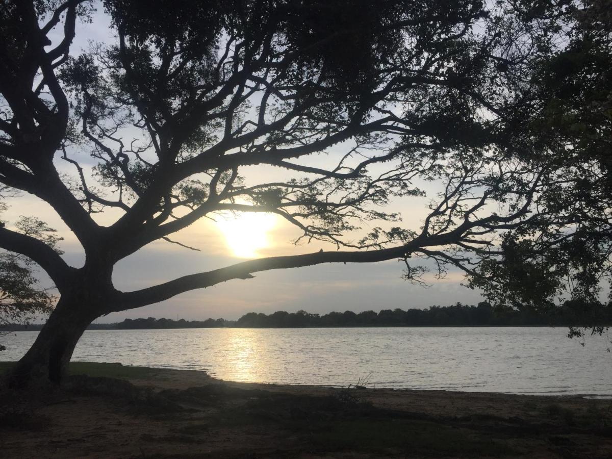 Saffron Lake Yala Tissamaharama Luaran gambar